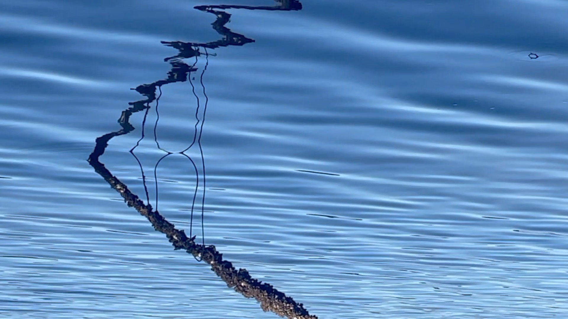 Reflections by Catherine Forster
